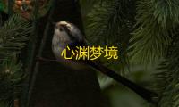 心渊梦境